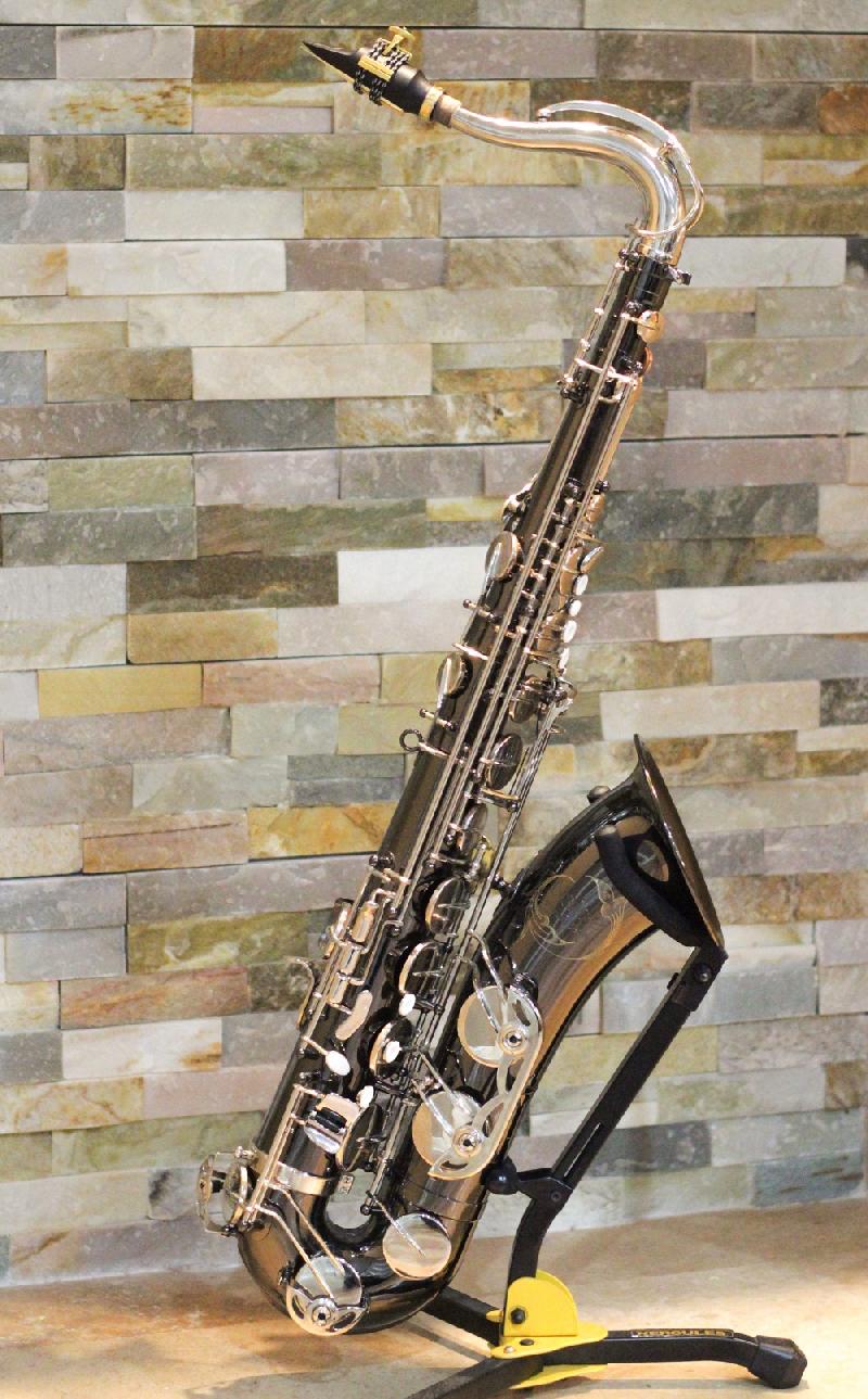Najee - PlatinumSeries - Photo Two Tenor Saxophone