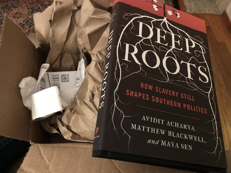 deep roots cover
