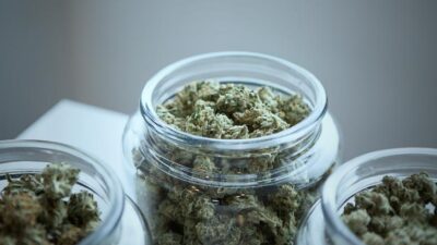 Cannibis - Marijuana buds - unsplash