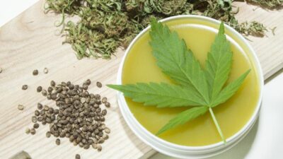 Cannabis
