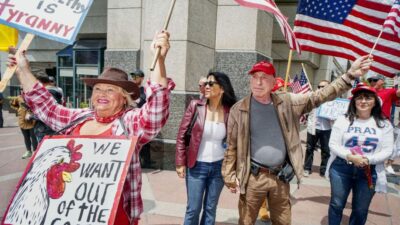 Stay-At-Home Protesters