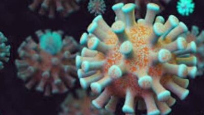 coronavirus