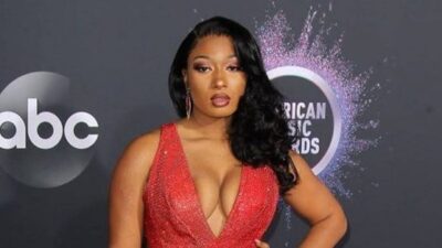 meghan thee stallion