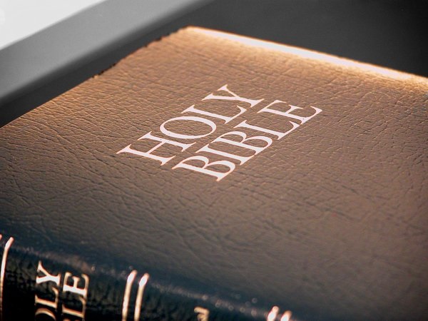bible - The one book that never changes (google free to share and use)