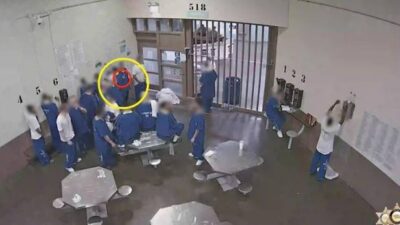 LA County Jail Inmates