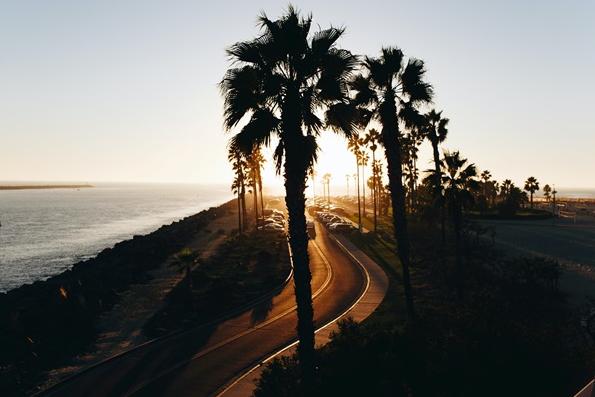 Palmtree line stree by ocean San Diego