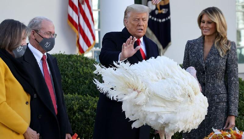 Trump pardons turkey (2020) - GettyImages-1287480869-e1606383949390-1000x570