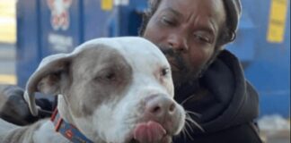 Homeless Man Rescues Every Animal in Atlanta Shelter