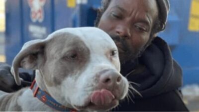 Homeless Man Rescues Every Animal in Atlanta Shelter