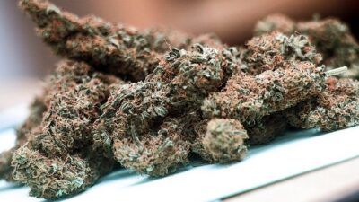 Marijuana