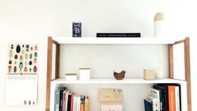 Furniture - Shelves - Shelving