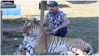 tiger king via Twitter