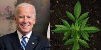 Biden - Marijuana