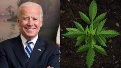 Biden - Marijuana