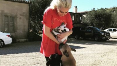 lady gaga and her dogs