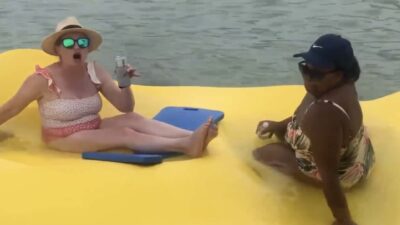 Florida Beachgoers Circled by Hammerhead Sharks