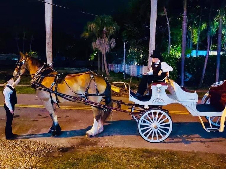 Horse and Carriage at the Ball