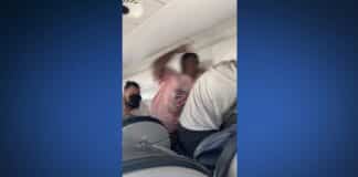 American Airlines fist fight