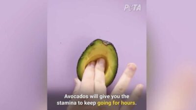 PETA ad