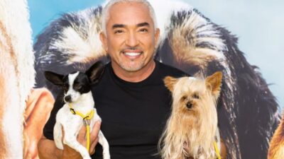 dog whisperer