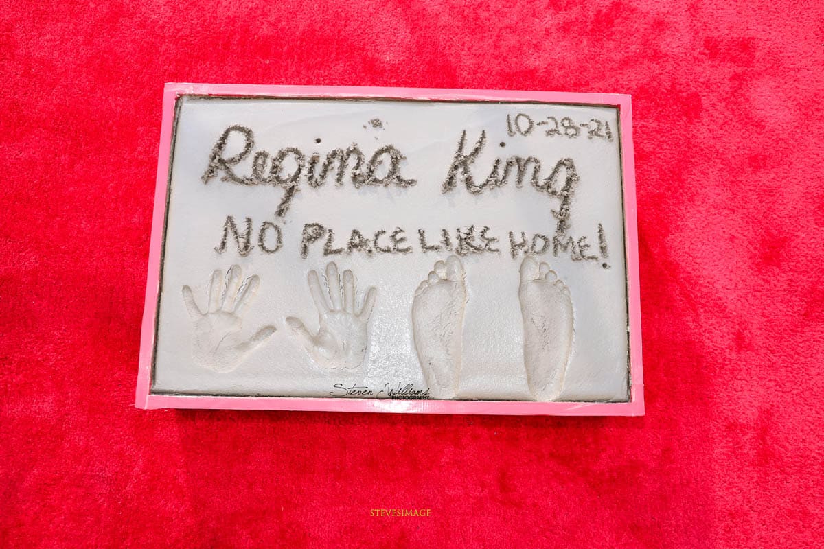 Regina King footprintSW_5789 Regina King hand nd footprint cement case No Place Like Home - SW4x6