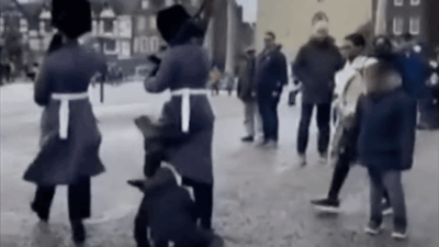 Queen's guard tramples kid