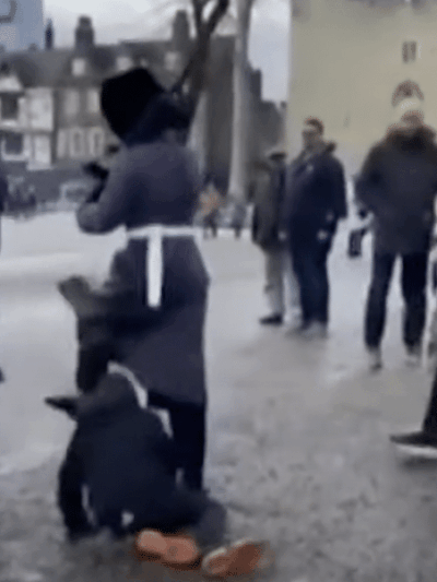 Queen's guard tramples kid