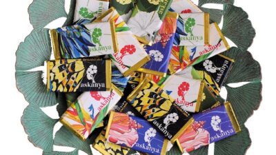 Askanya Chocolates - Mini Bars