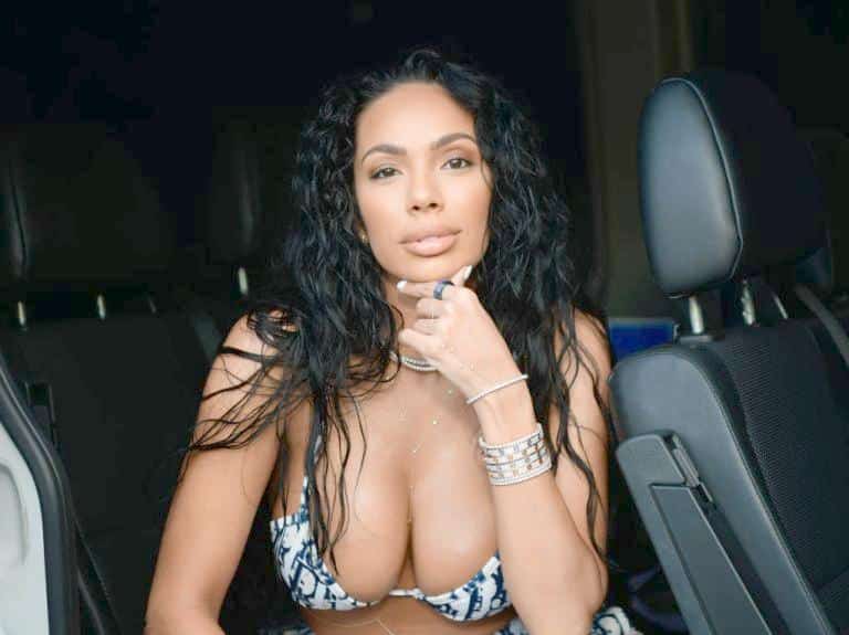 Erica Mena reality star