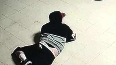 Snake Burglar