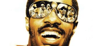 Stevie Wonder - shades
