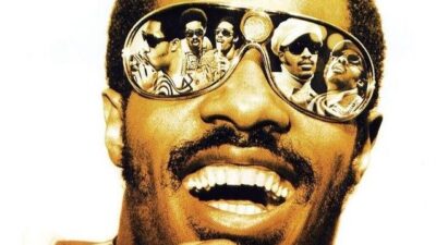 Stevie Wonder - shades