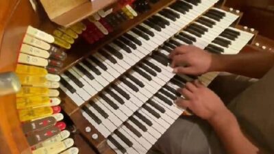 Organ (screenshot)