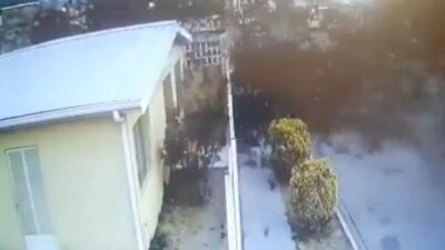 Birds fall from sky