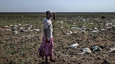 Africa Climate Change / Getty