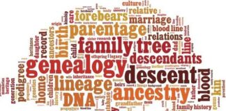 Lineage - Ancestry