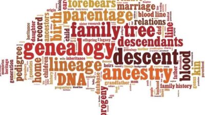 Lineage - Ancestry