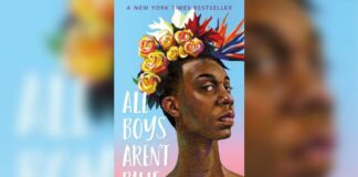 All Boys Aren't Blue (Macmillan Publishers)