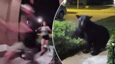 Black Bear chases couple & dog