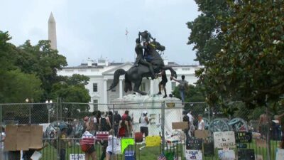 Lafayette Park Protestors (CNN)