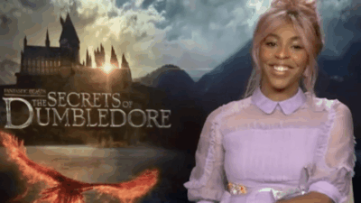 Fantastic Beasts: The Secrets of Dumbledore