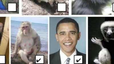 Barack Obama compared to Monkeys