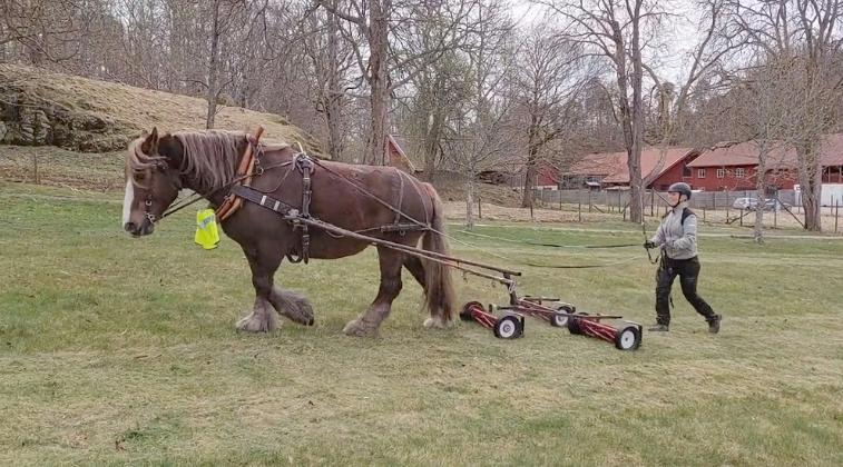 One Horse Mower - via Zenger