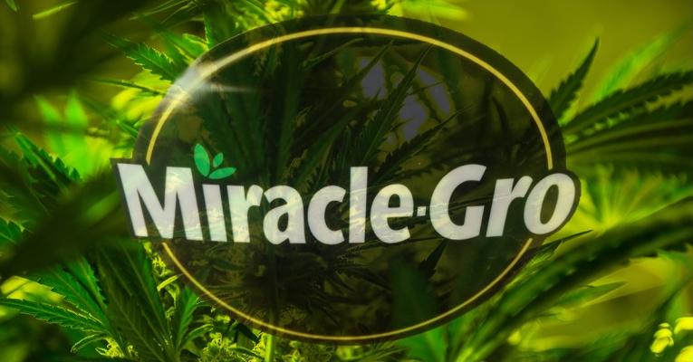 Scotts Miracle-gro Marijuana-Cannabis