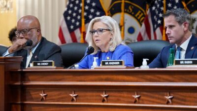 Liz Cheney and Bennie Thompson and Adam Kiinzinger (J Scott Applewhite-AP for CNN)