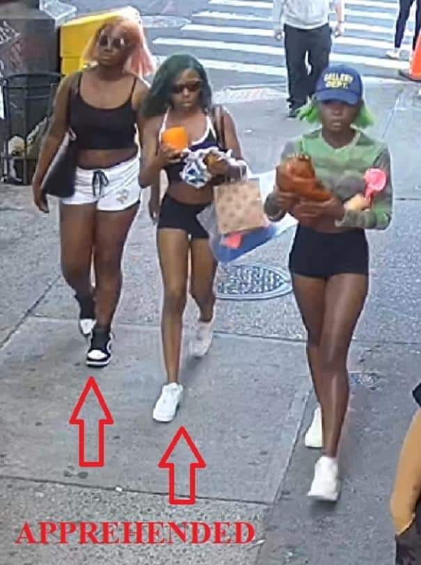 3 Black Girls NYC Bus Assault - NYPD
