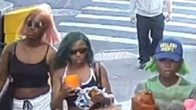 3 Black Girls NYC Bus Assault - NYPD
