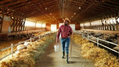 Black Farmers Concerned Inflation Reduction Act Will Roll Back Promised Debt Relief