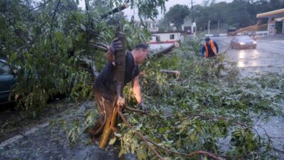 Hurricane Fiona Puerto Rico - Fallen Tree (Ricardo Arduengo-Reuters)