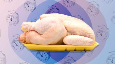 UNcooked chicken